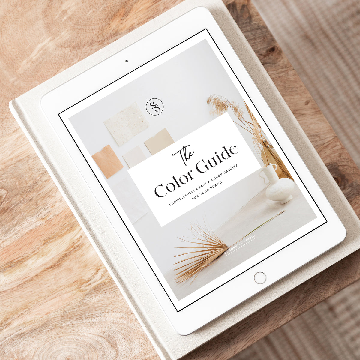 The Color Guide – Sonrisa Digital